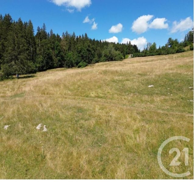 Terrain à vendre - 694 m2 - Montbenoit - 25 - FRANCHE-COMTE