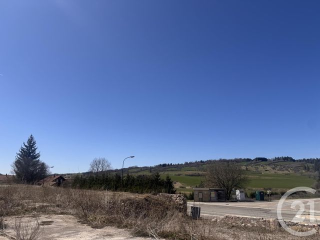 terrain - LONGEVILLES MONT D OR - 25