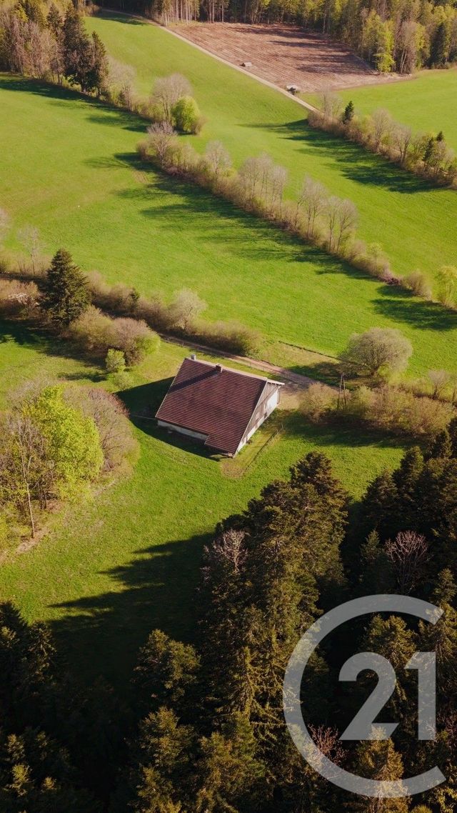 Maison &agrave; vendre - 10 pi&egrave;ces - 300 m2 - Montperreux - 25 - FRANCHE-COMTE