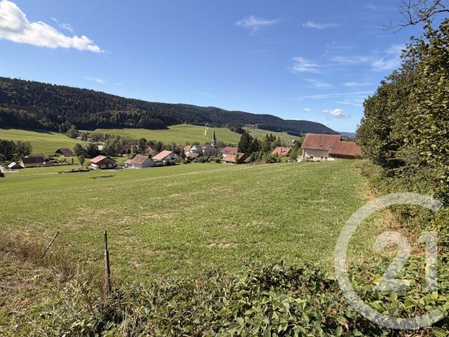 terrain - LES ALLIES - 25